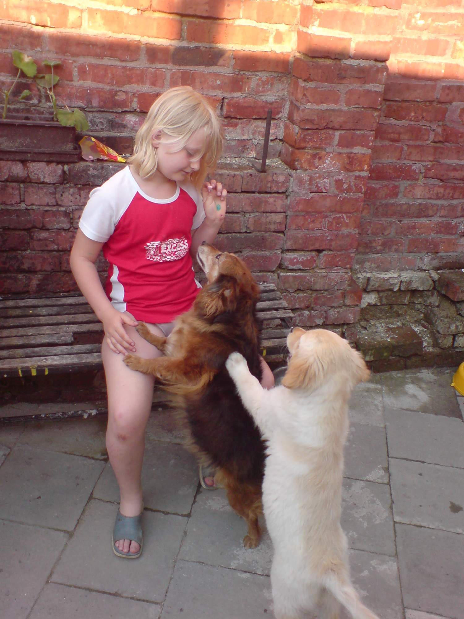 rajce.idnes holky rajce.idnes. k