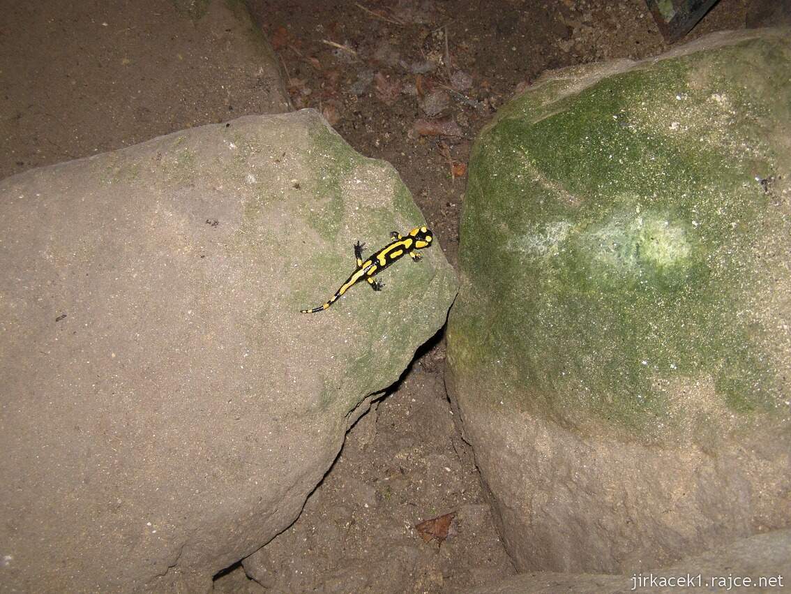 Koryčany - hrad Cimburk