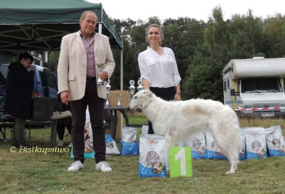 Ch Odeta Bistkupstwo Ex 1,  CAC, Best female, BOB from 44 borzois at club show - With judge František Bouček and owner Magdalena