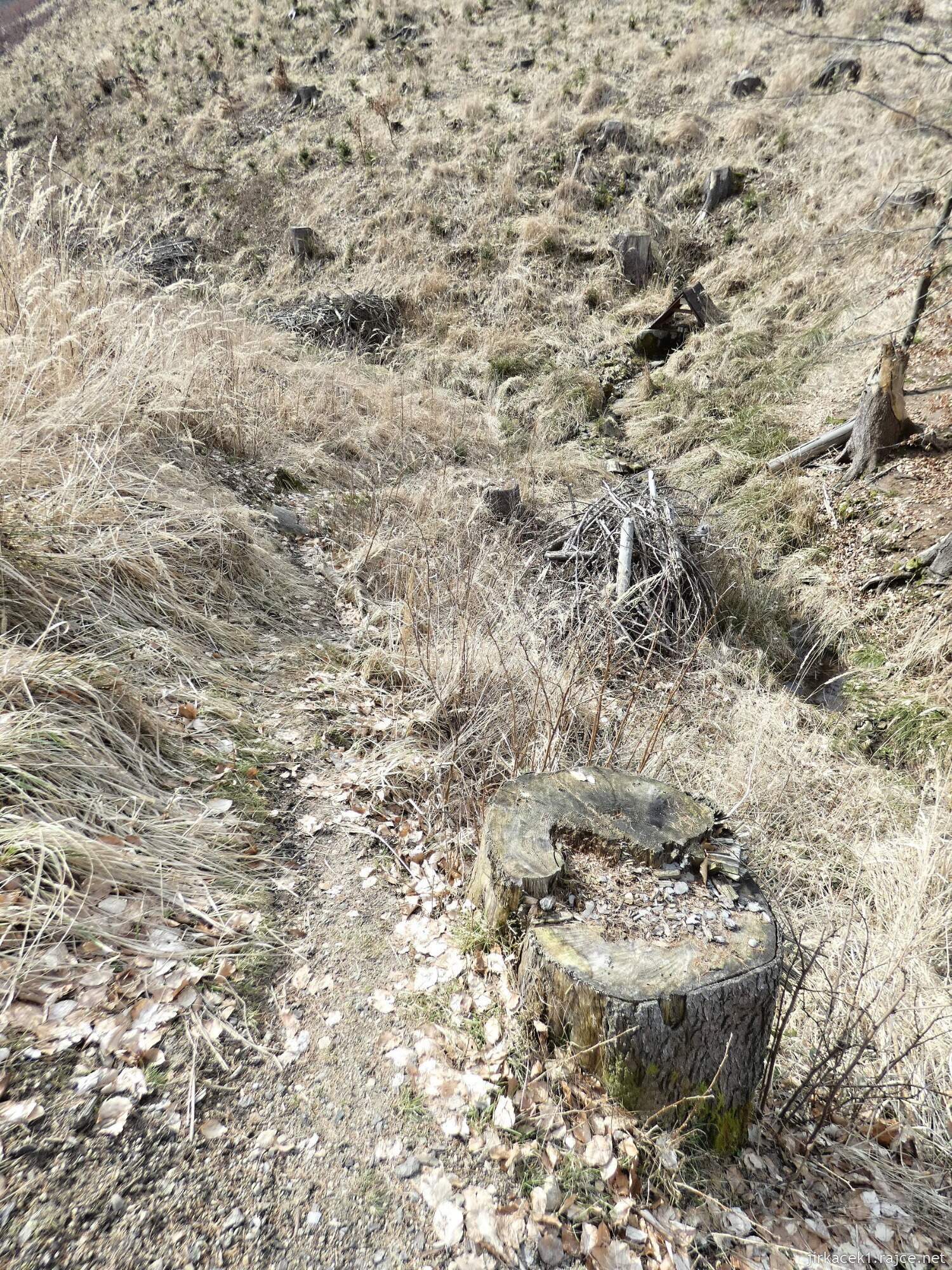 E - Rusava - Hydrologická studánka 013