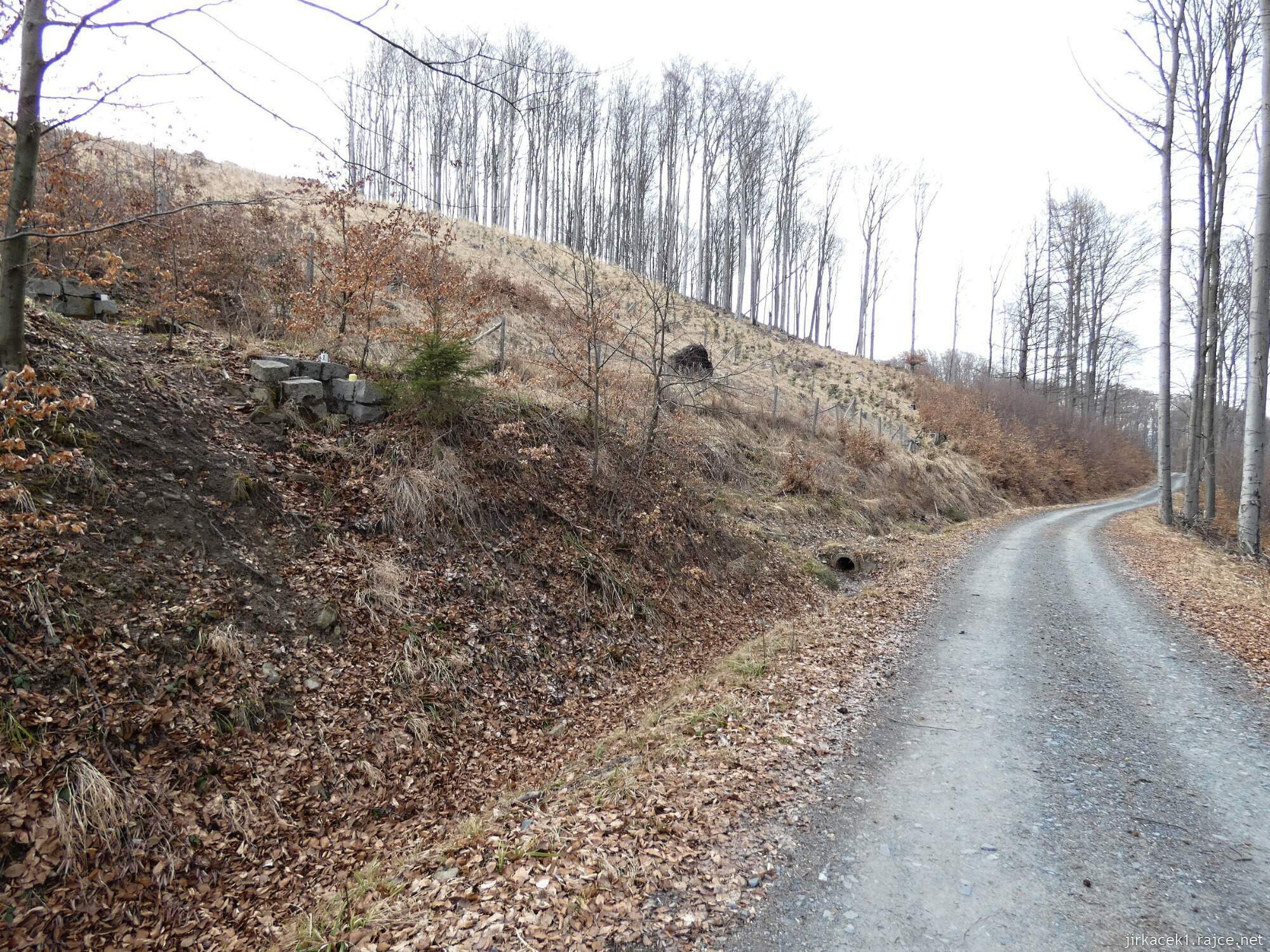 M - Brusné - Sirková studánka 021