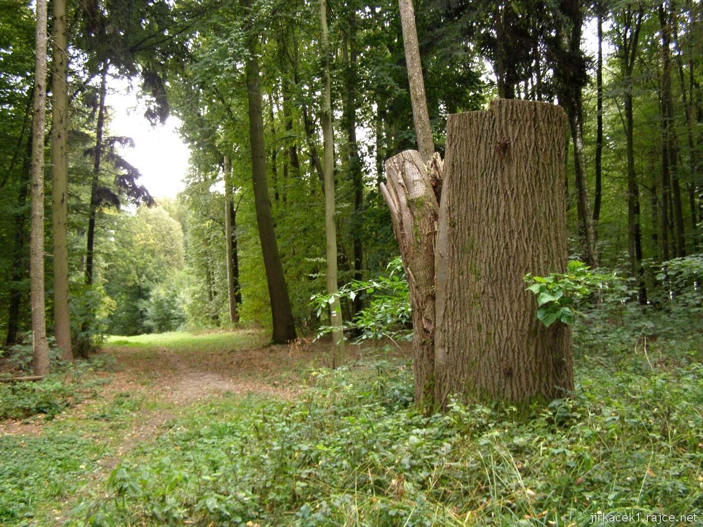 Nedošín - naučná stezka Nedošínský háj