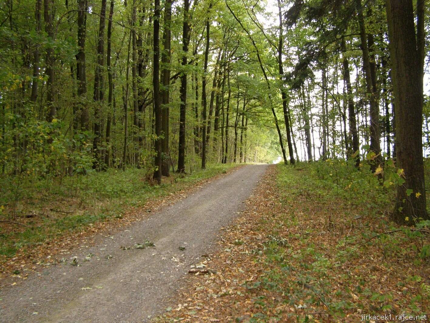 Nedošín - naučná stezka Nedošínský háj