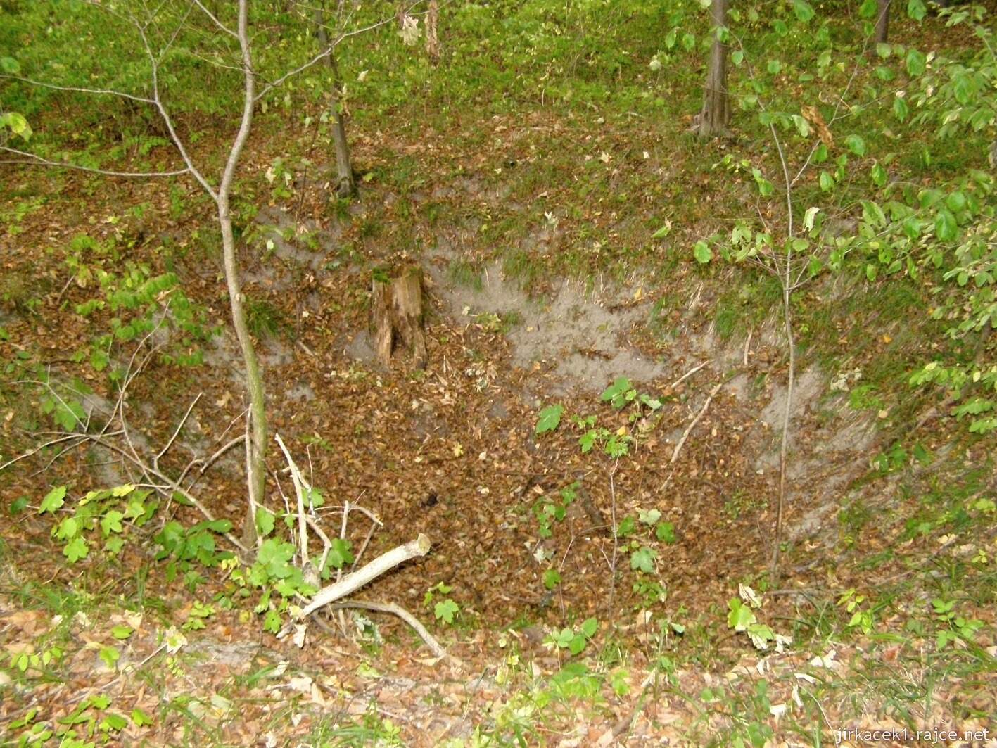 Nedošín - naučná stezka Nedošínský háj