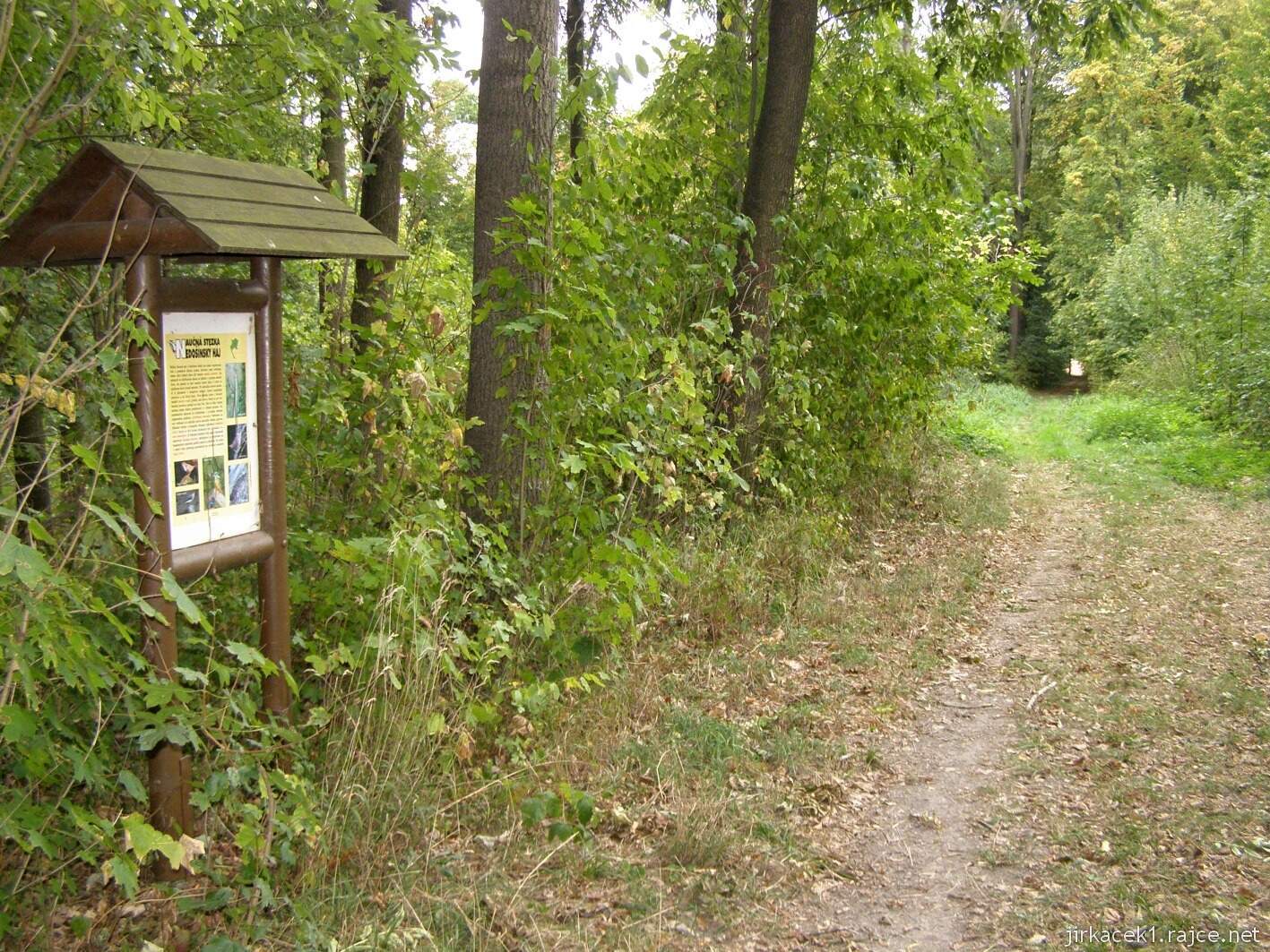 Nedošín - naučná stezka Nedošínský háj
