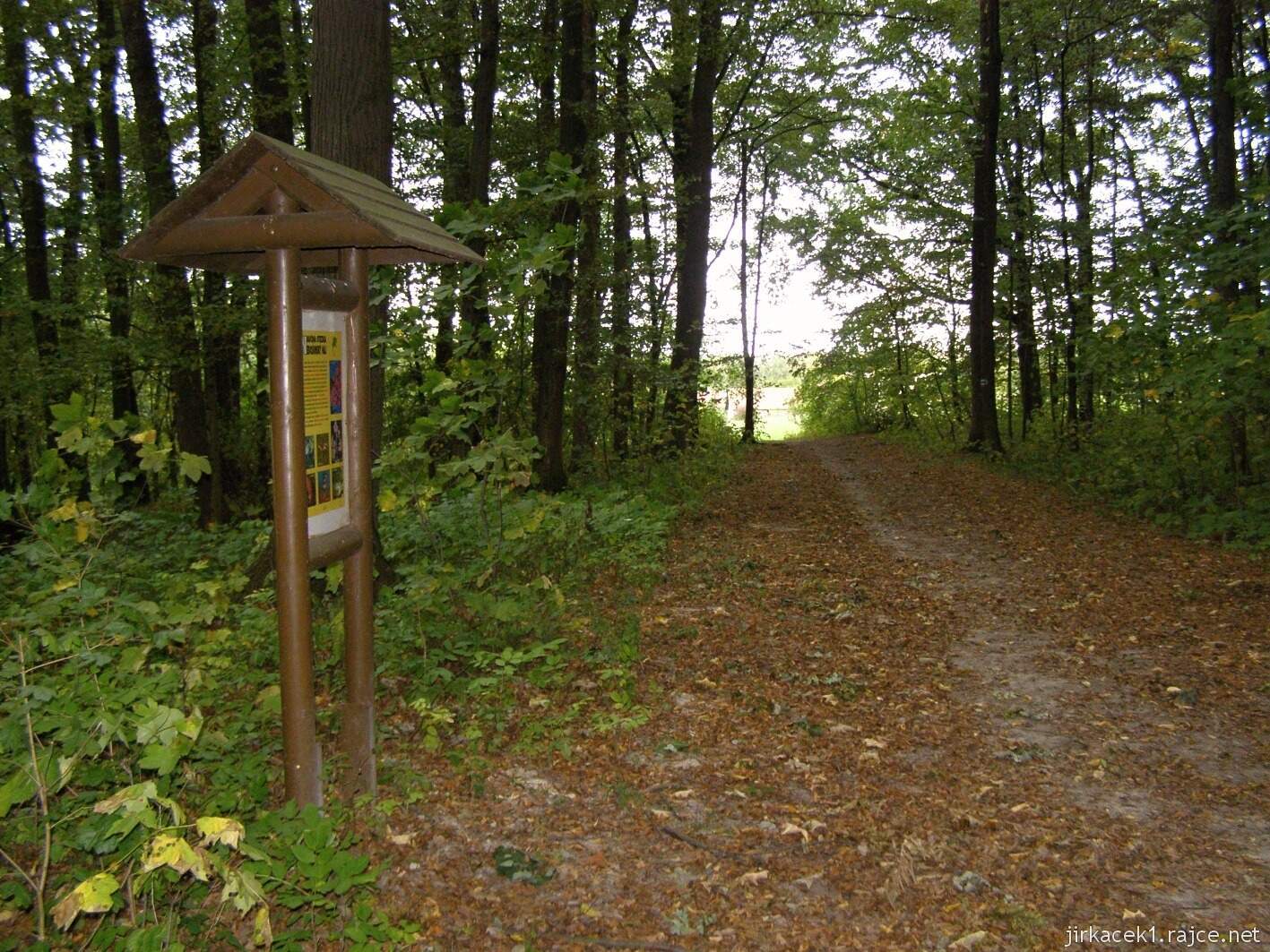 Nedošín - naučná stezka Nedošínský háj