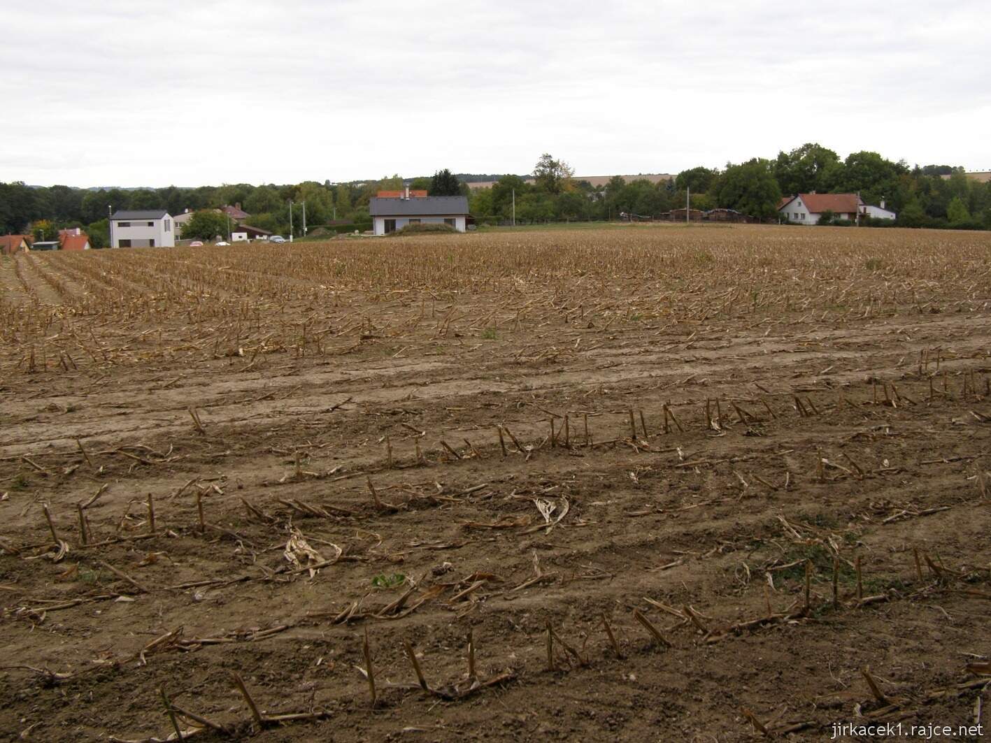 Nedošín - naučná stezka Nedošínský háj - Tržek