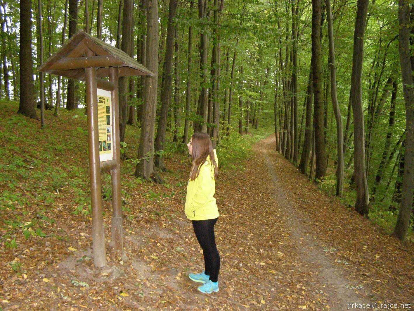 Nedošín - naučná stezka Nedošínský háj