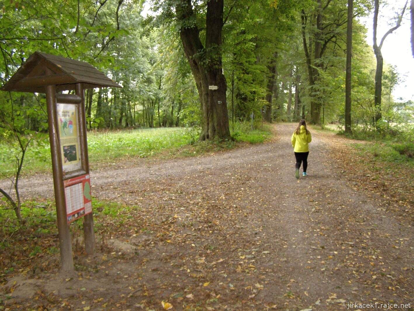 Nedošín - naučná stezka Nedošínský háj