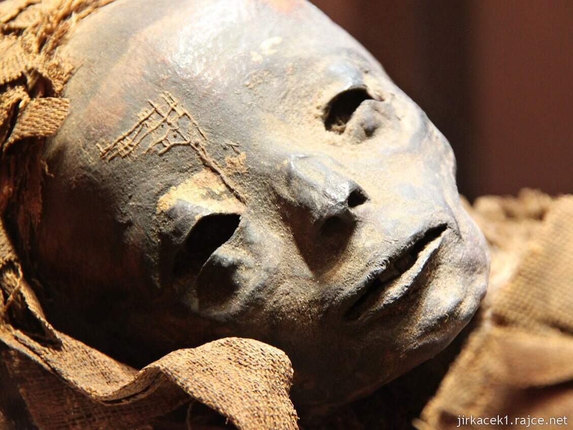 Egypt - muzeum v Káhiře - mumie