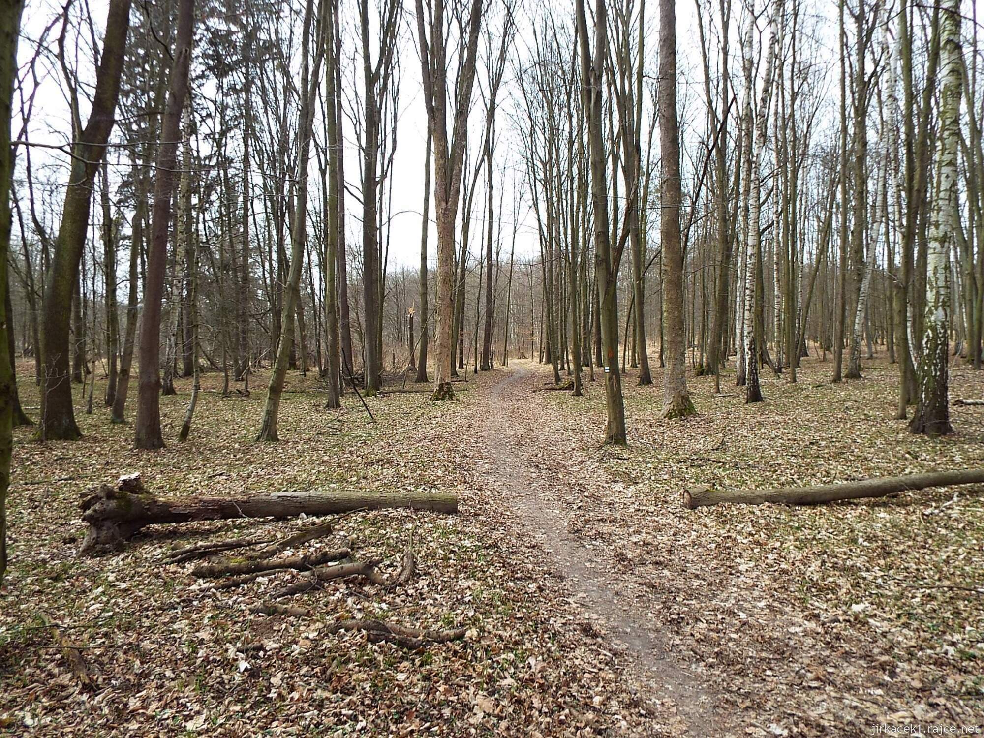 B - cesta z Nových Zámků ke Chrámu přátelství 34 - cesta od rybníka k rozcestí u Obelisku