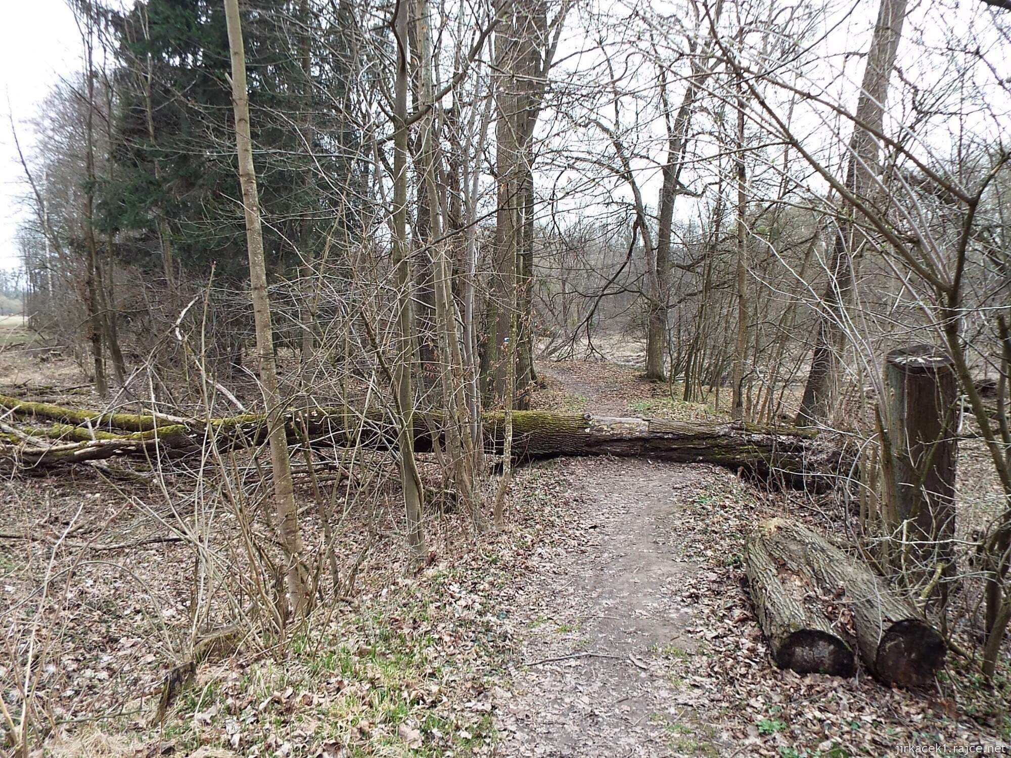 B - cesta z Nových Zámků ke Chrámu přátelství 36 - na břehu u Obelisku