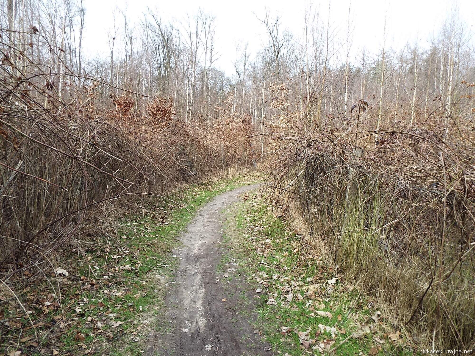 C - cesta od Chrámu přátelství do Nových Mlýnů 03