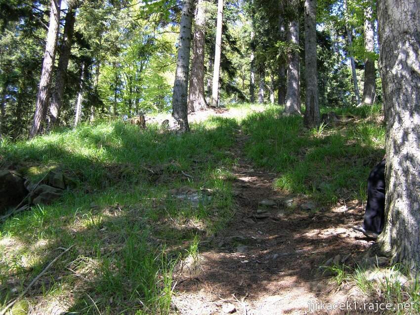 Kružberk - zřícenina hradu