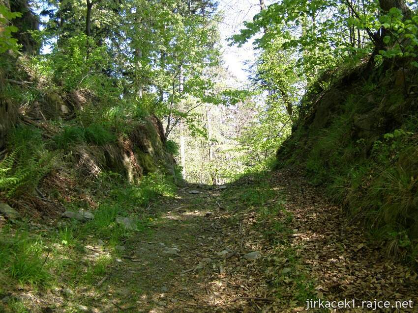 Kružberk - zřícenina hradu