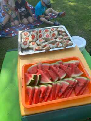Piknik ( oranžová třída)