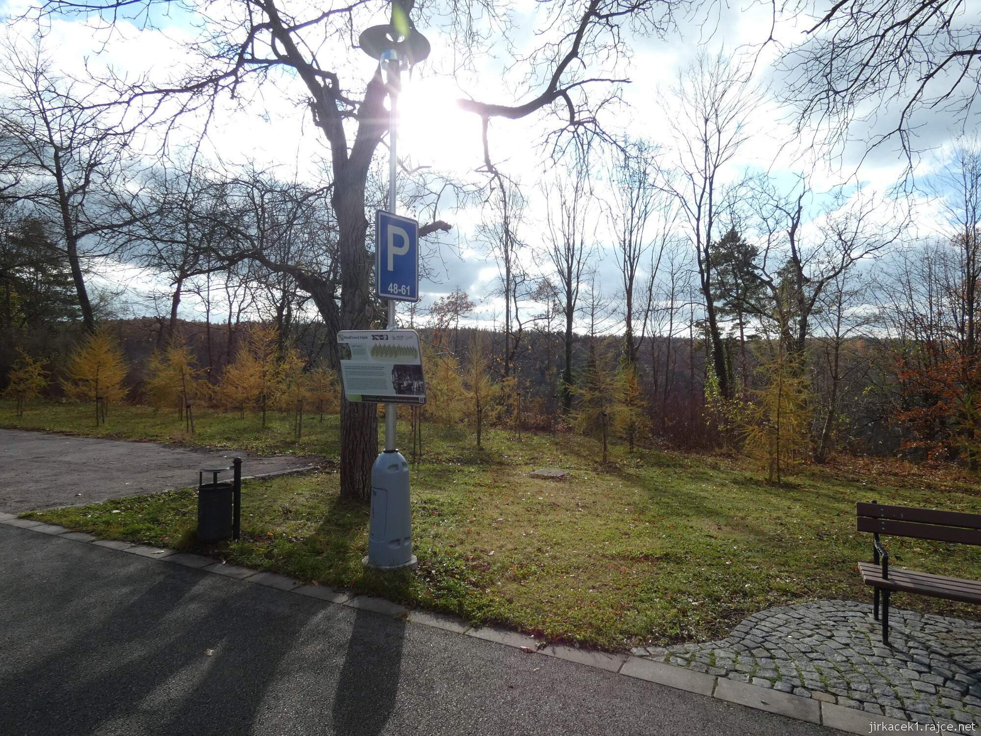 C - Luže - Hamzův park a arboretum 046