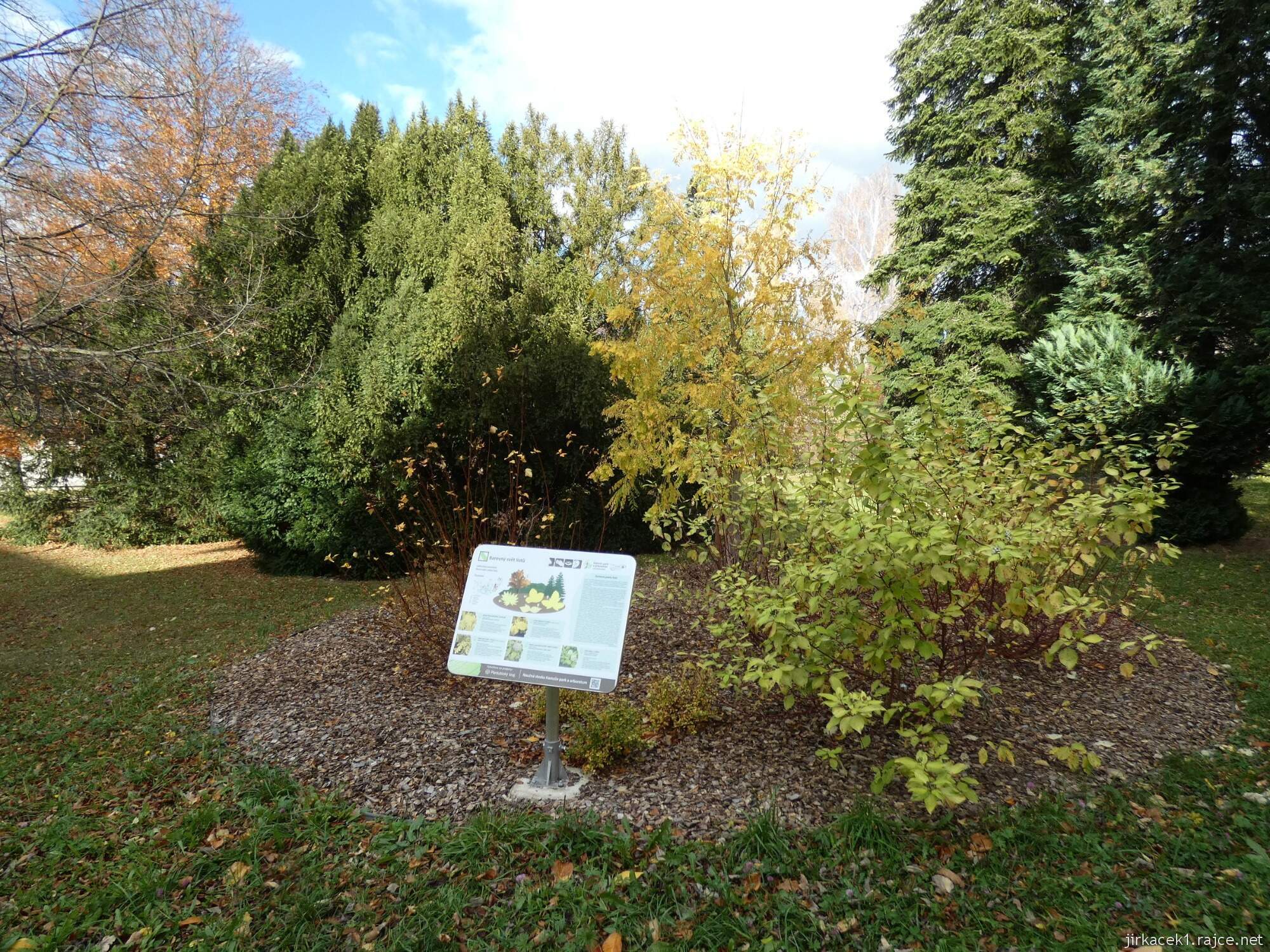 C - Luže - Hamzův park a arboretum 054