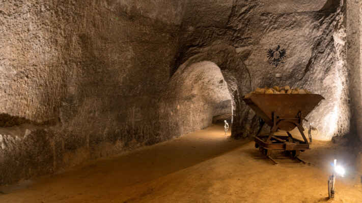 Důlní vozík, slangově hunt, je dopravní prostředek, specializované kolejové vozidlo. Je to otevřený vozík, který se používá pro dopravu materiálu v dole nebo v lomu. Tažen nebo tlačen může být jak lidmi, tak důlními lokomotivami, v dřívějších dobách (zejména v 19. století) se pro tažení vozu používali i důlní koně.