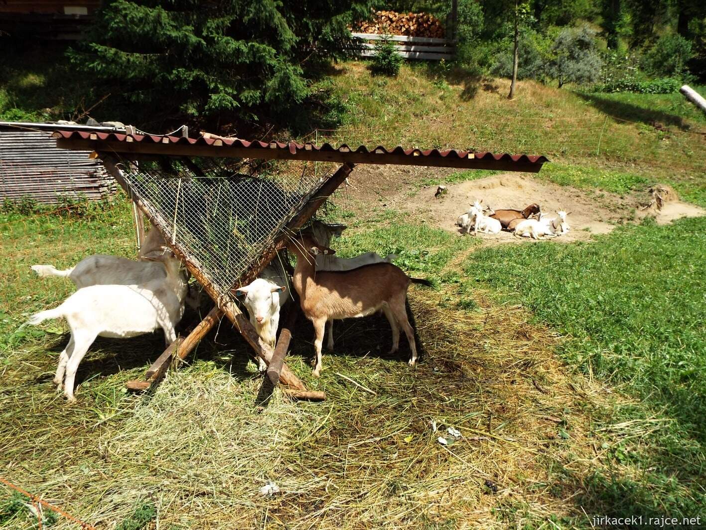 013 - Karolinka - Rodový shluk valašských chalup - Raťkov 21 - výběh pro kozy u šenku