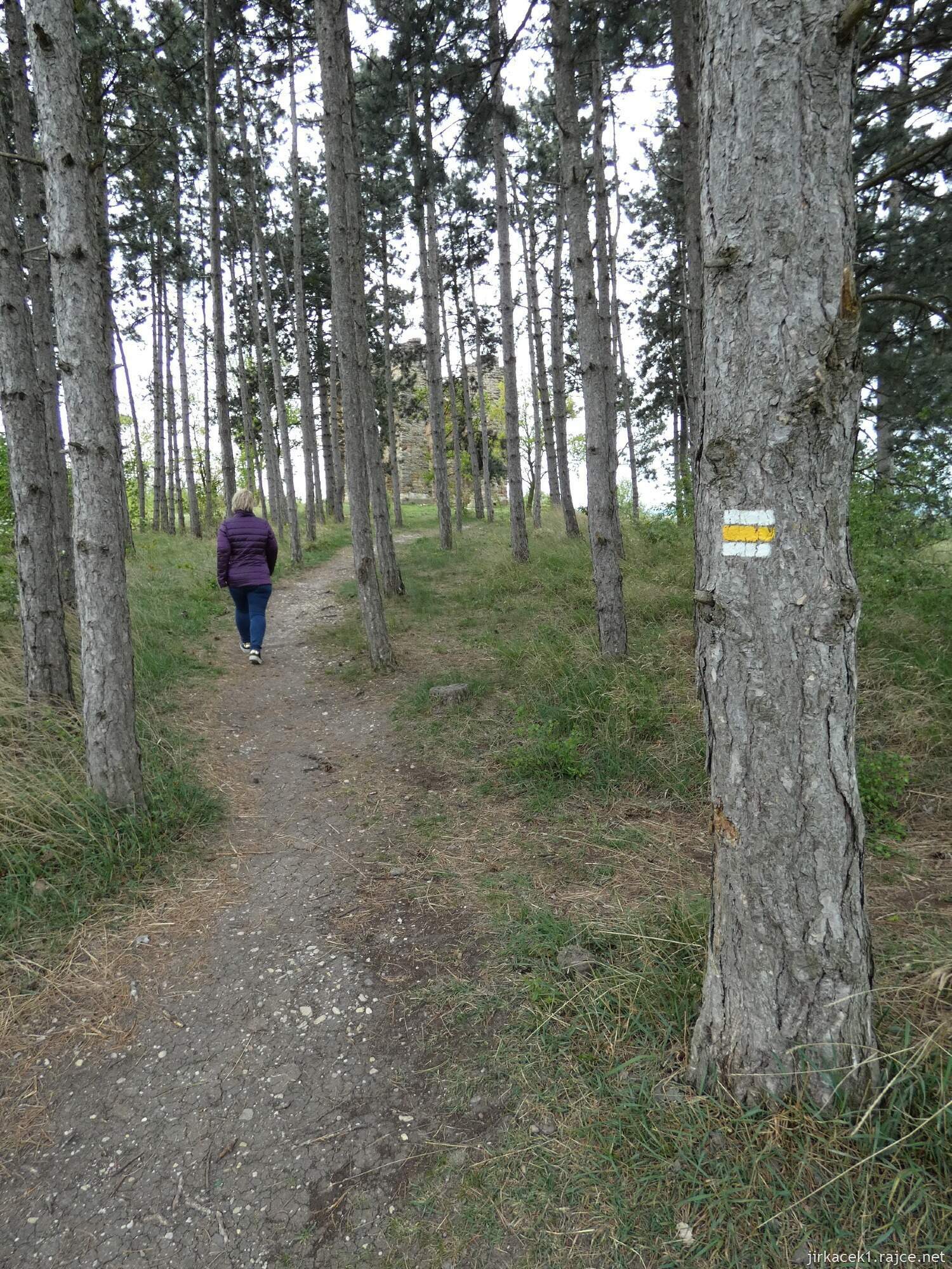 F - Bříství - zřícenina kaple Povýšení sv. Kříže 007