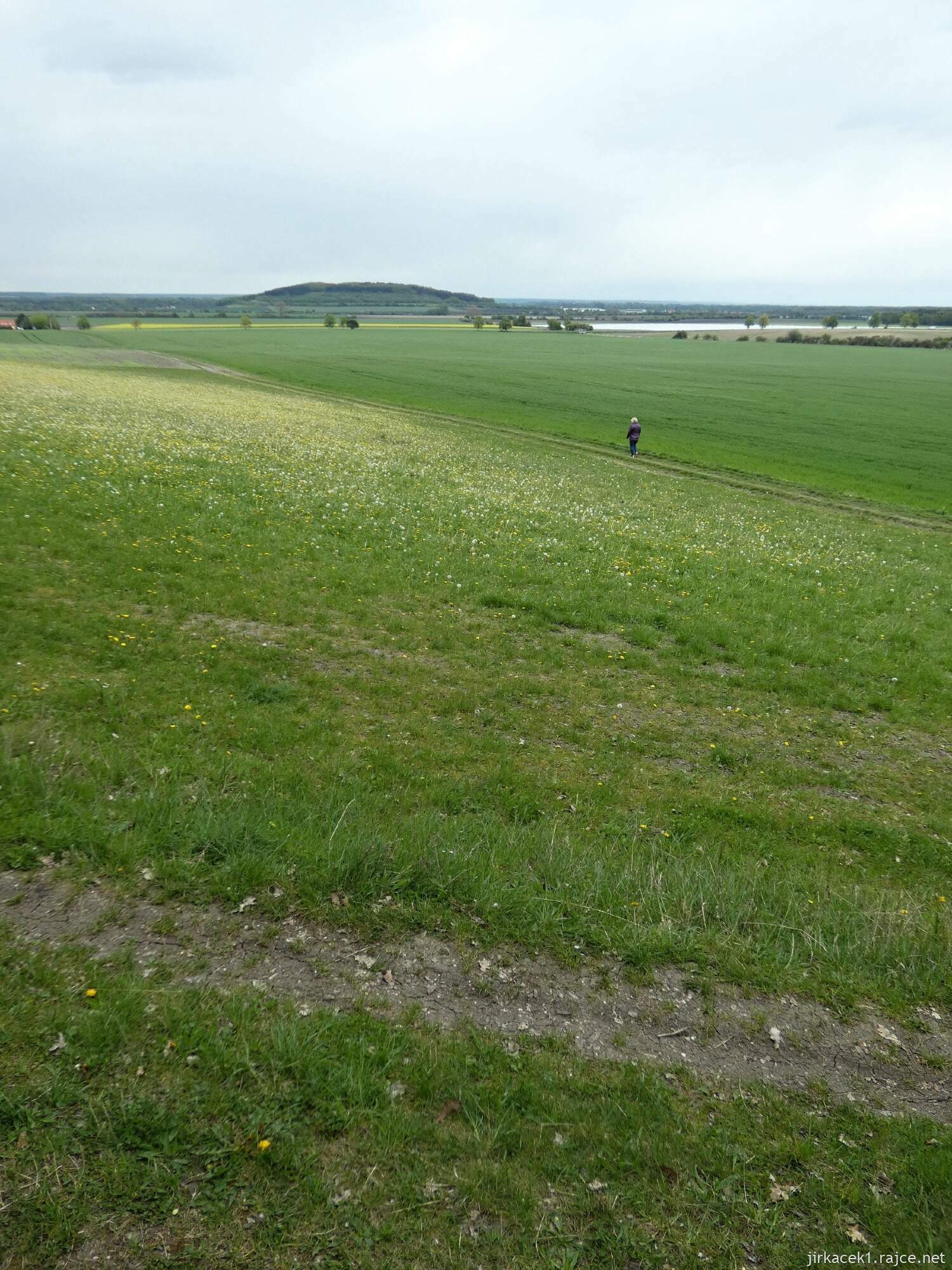 F - Bříství - zřícenina kaple Povýšení sv. Kříže 046